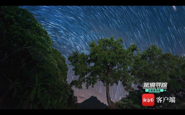破碎的动物图形2