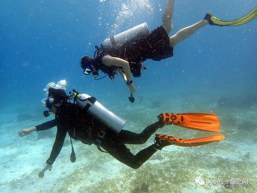 海滩棚屋逃生